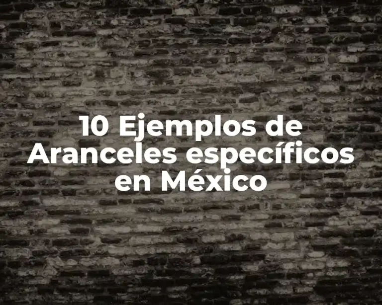 10 Ejemplos de Aranceles específicos en México