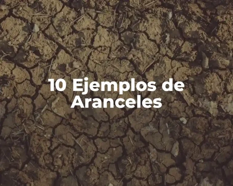 10 Ejemplos de Aranceles