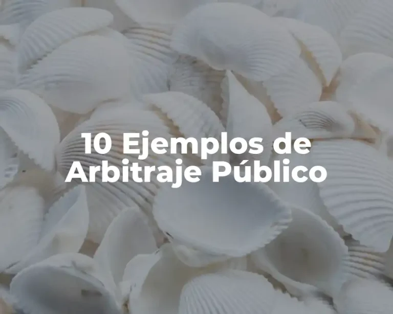 10 Ejemplos de Arbitraje Público