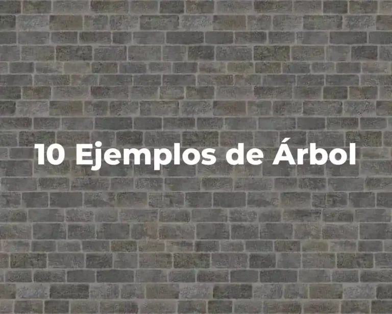 10 Ejemplos de Árbol