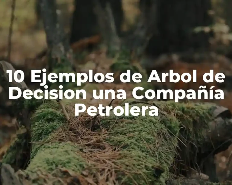 10 Ejemplos de Arbol de Decision una Compañía Petrolera
