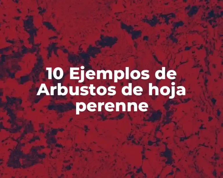 10 Ejemplos de Arbustos de hoja perenne
