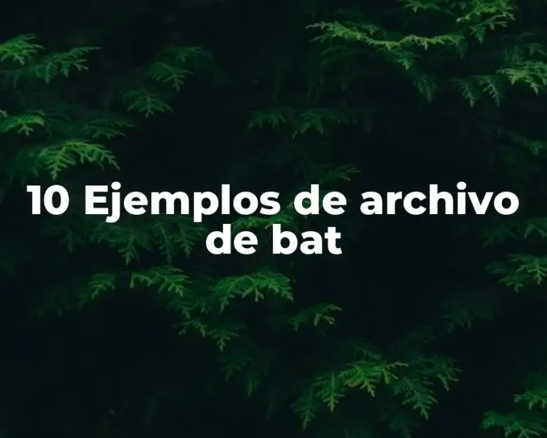 10 Ejemplos de archivo de bat