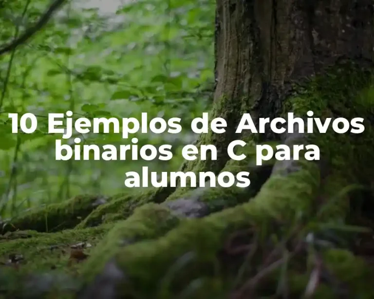 10 Ejemplos de Archivos binarios en C para alumnos