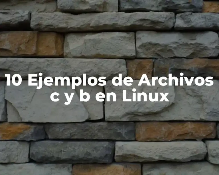 10 Ejemplos de Archivos c y b en Linux