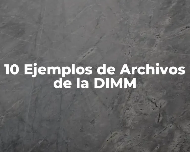 10 Ejemplos de Archivos de la DIMM