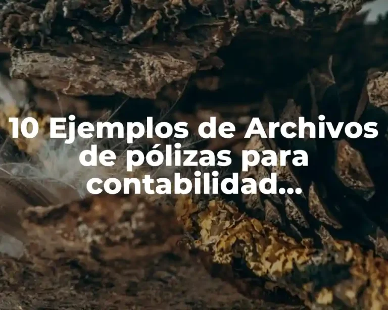 10 Ejemplos de Archivos de pólizas para contabilidad electrónica