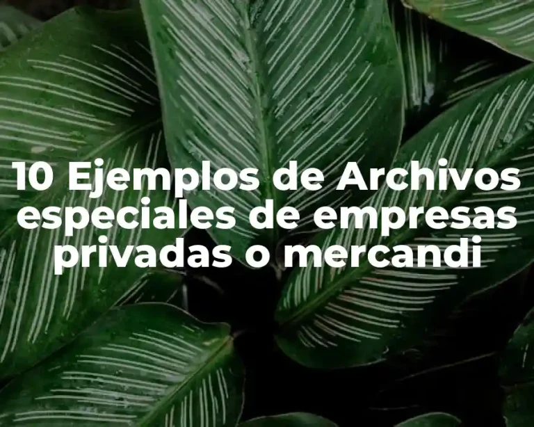 10 Ejemplos de Archivos especiales de empresas privadas o mercandi