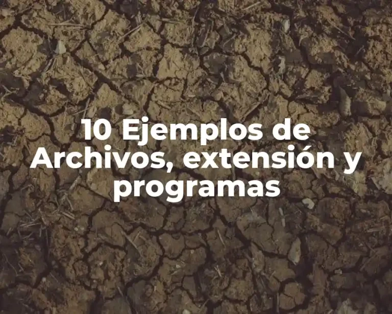 10 Ejemplos de Archivos, extensión y programas