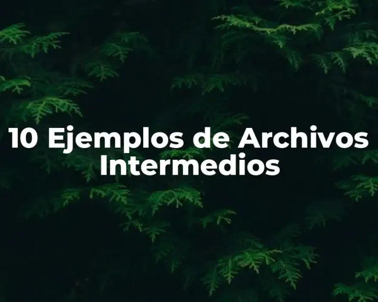 10 Ejemplos de Archivos Intermedios