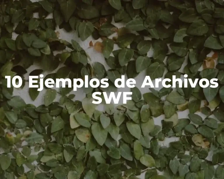 10 Ejemplos de Archivos SWF