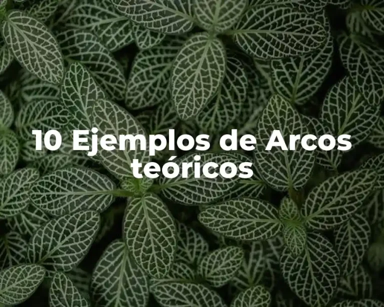 10 Ejemplos de Arcos teóricos