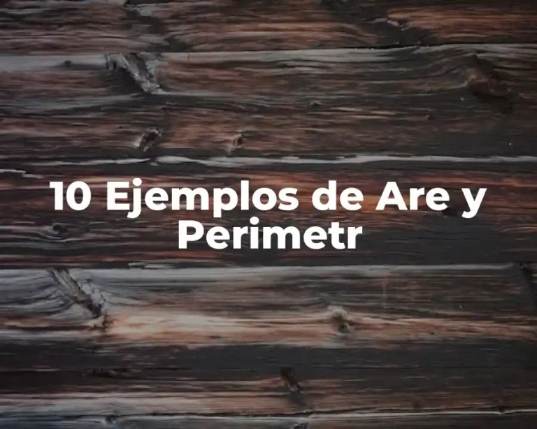 10 Ejemplos de Are y Perimetr