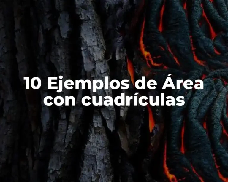 10 Ejemplos de Área con cuadrículas
