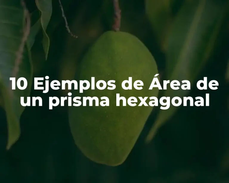 10 Ejemplos de Área de un prisma hexagonal