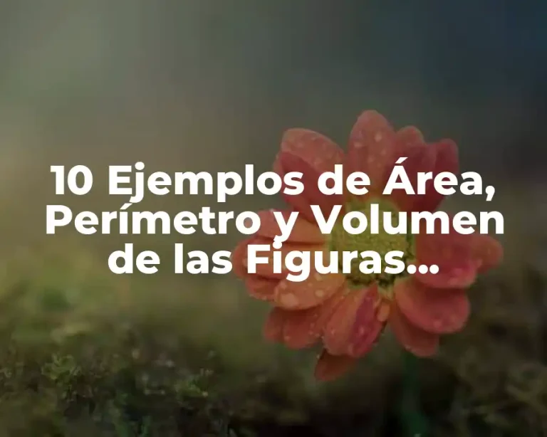 10 Ejemplos de Área, Perímetro y Volumen de las Figuras Geométricas
