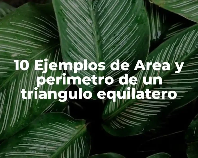 10 Ejemplos de Area y perimetro de un triangulo equilatero