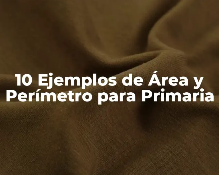 10 Ejemplos de Área y Perímetro para Primaria