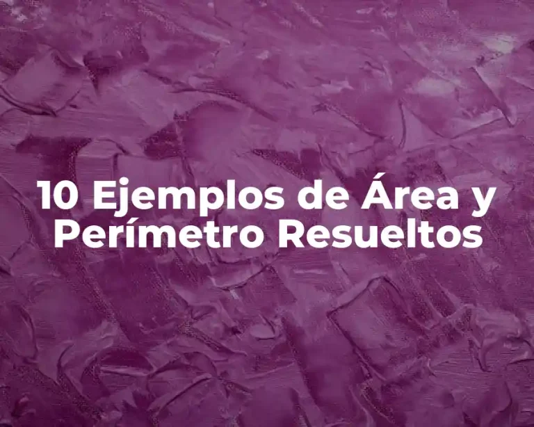 10 Ejemplos de Área y Perímetro Resueltos