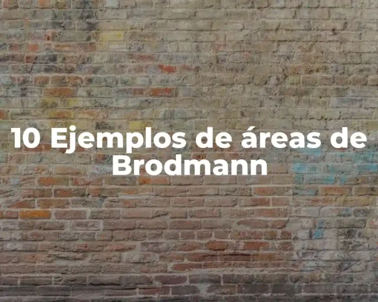 10 Ejemplos de áreas de Brodmann