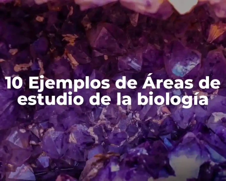 10 Ejemplos de Áreas de estudio de la biología