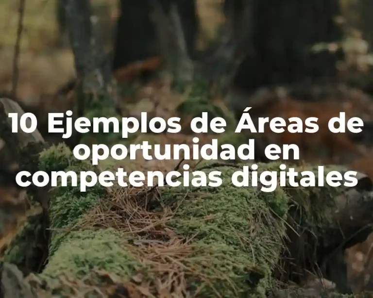 10 Ejemplos de Áreas de oportunidad en competencias digitales