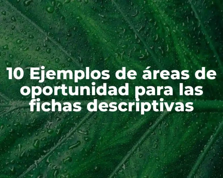 10 Ejemplos de áreas de oportunidad para las fichas descriptivas