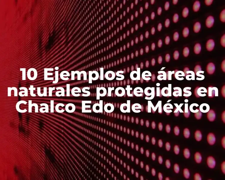 10 Ejemplos de áreas naturales protegidas en Chalco Edo de México
