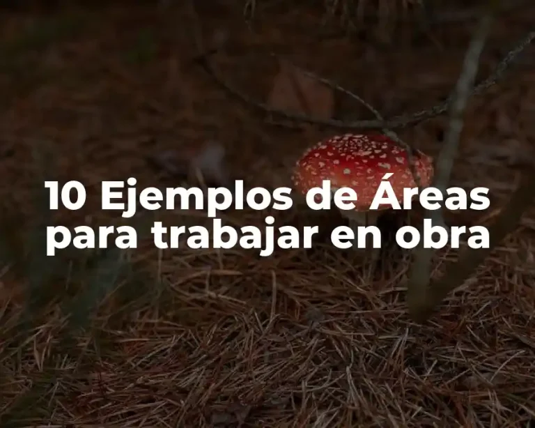 10 Ejemplos de Áreas para trabajar en obra