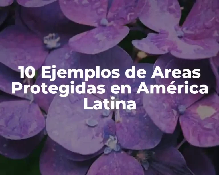 10 Ejemplos de Areas Protegidas en América Latina