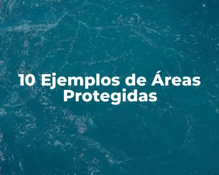10 Ejemplos de Áreas Protegidas