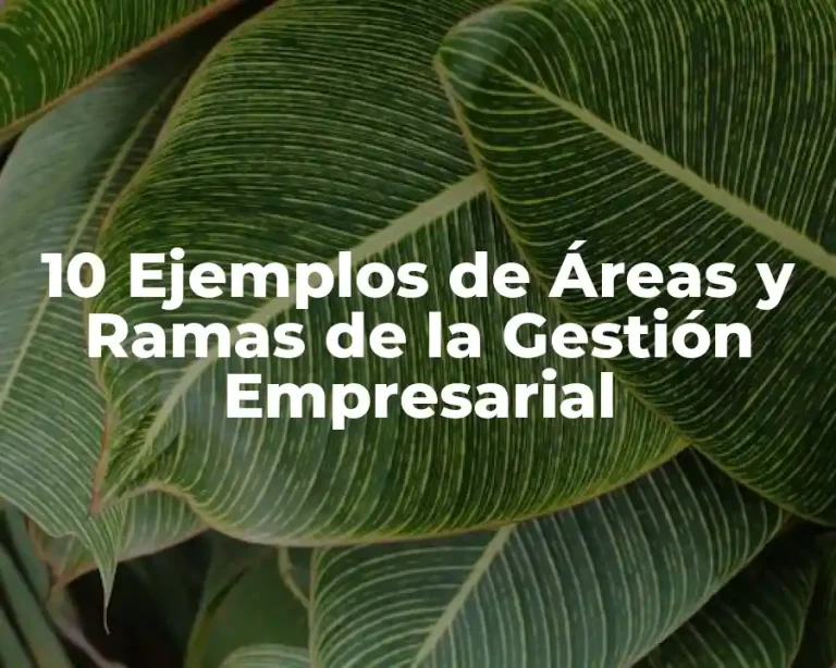 10 Ejemplos de Áreas y Ramas de la Gestión Empresarial