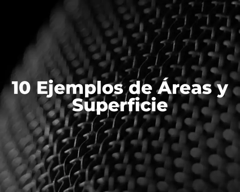 10 Ejemplos de Áreas y Superficie