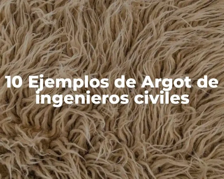 10 Ejemplos de Argot de ingenieros civiles