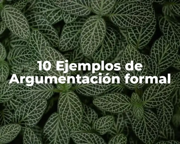 10 Ejemplos de Argumentación formal