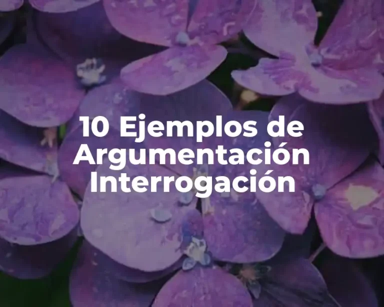 10 Ejemplos de Argumentación Interrogación