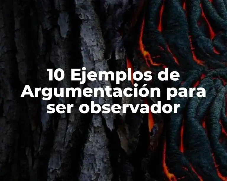 10 Ejemplos de Argumentación para ser observador