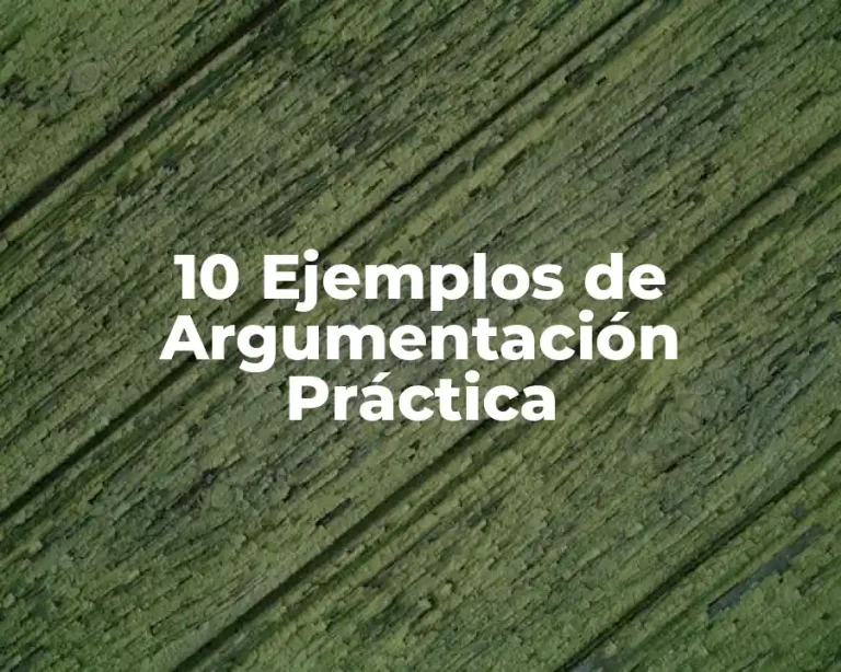 10 Ejemplos de Argumentación Práctica