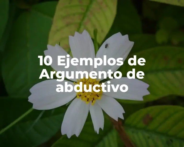 10 Ejemplos de Argumento de abductivo