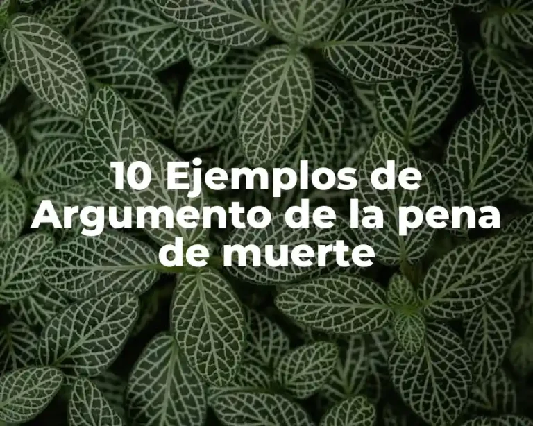 10 Ejemplos de Argumento de la pena de muerte