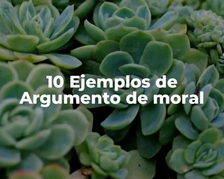 10 Ejemplos de Argumento de moral