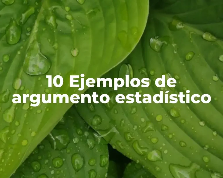 10 Ejemplos de argumento estadístico