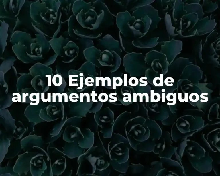 10 Ejemplos de argumentos ambiguos
