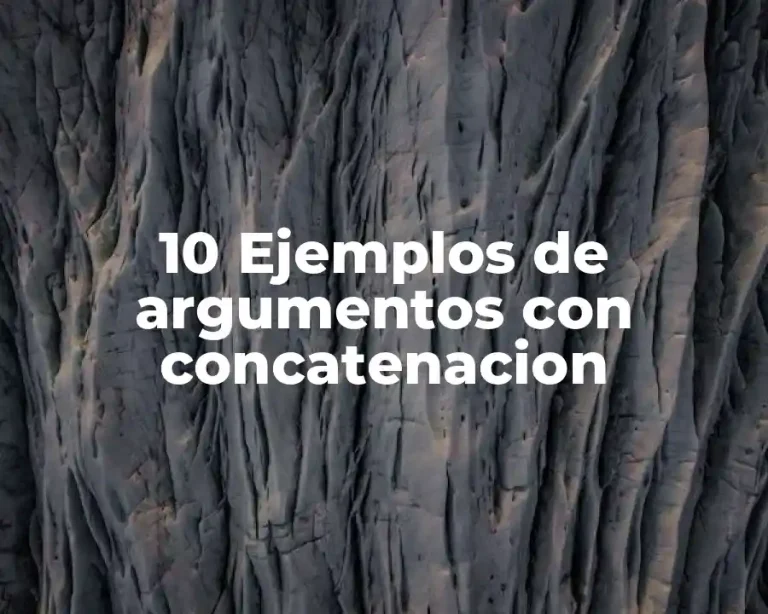 10 Ejemplos de argumentos con concatenacion