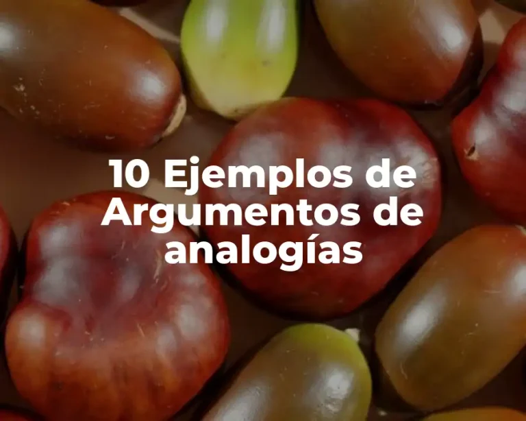 10 Ejemplos de Argumentos de analogías