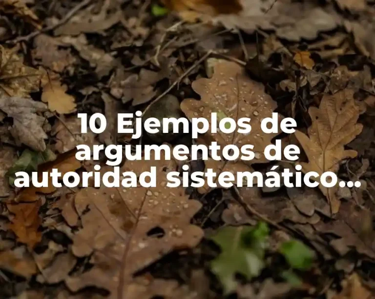 10 Ejemplos de argumentos de autoridad sistemático en derecho civil