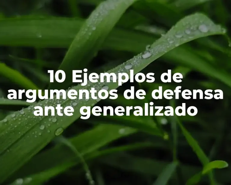 10 Ejemplos de argumentos de defensa ante generalizado