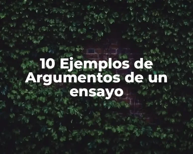 10 Ejemplos de Argumentos de un ensayo