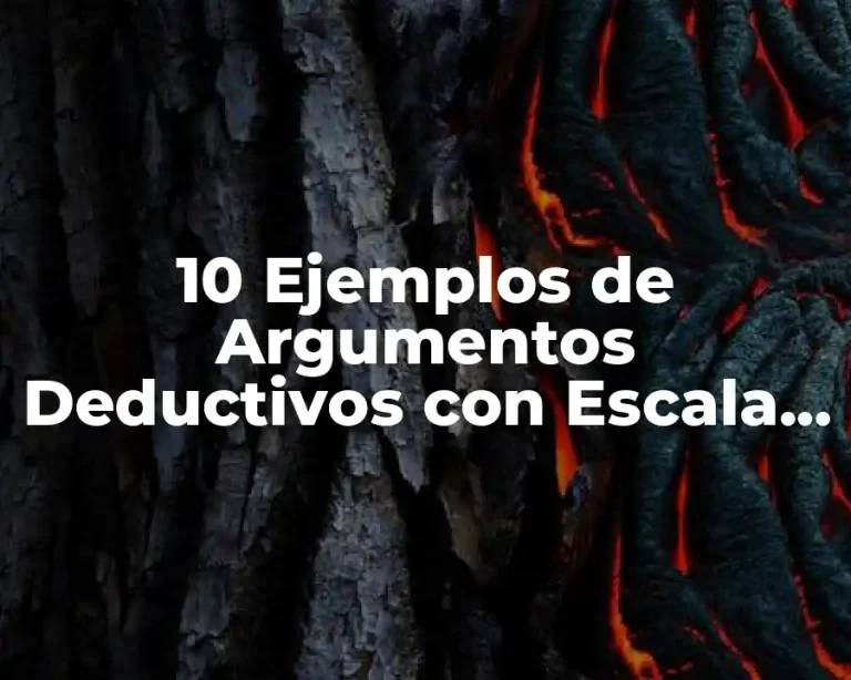 10 Ejemplos de Argumentos Deductivos con Escala Flotar y Viajar, Definición, Diferencias y para que sirve