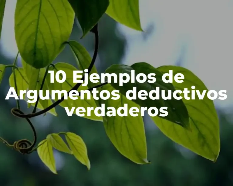 10 Ejemplos de Argumentos deductivos verdaderos